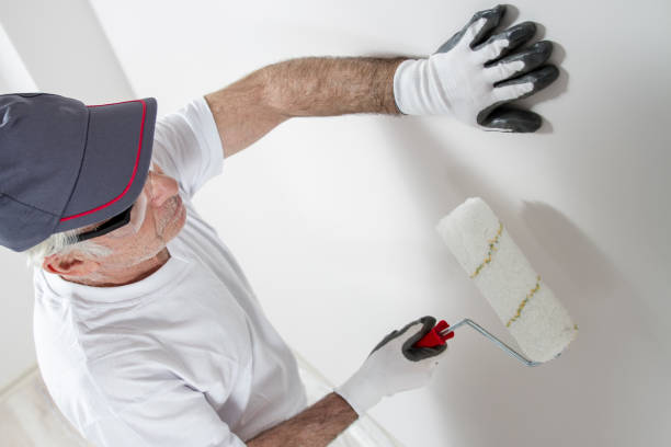 Best Drywall Texturing  in Fort Myers, FL